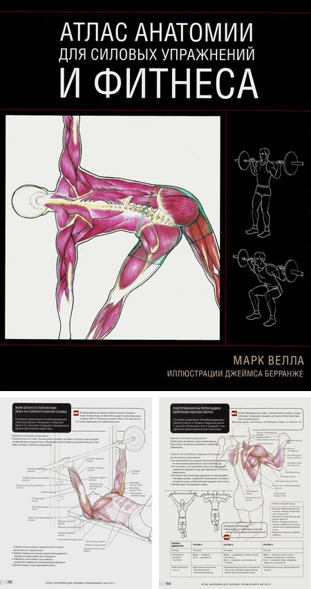 Атлас анатомии для силовых упражнений и фитнеса - Марк Велла