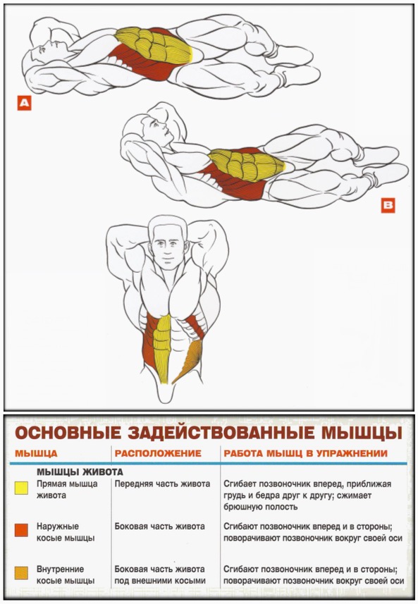 Упражнения для косых мышц живота для мужчин