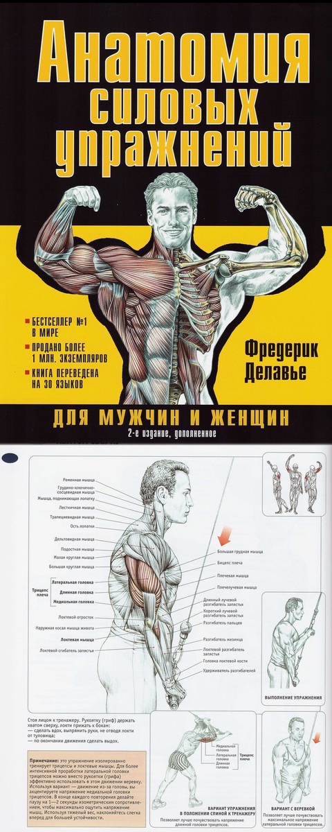 Книга „Анатомия силовых упражнений для мужчин и женщин„ Фредерик Делавье. 2-е издание, дополненное