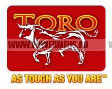 Купить в Москве TITAN Toro Lever Belt 10mm - Ремень с карабином толщина 10мм