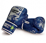 GREEN HILL Boxing Gloves 007, Перчатки кожаные арт.BG-007 (синий)