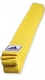 Adidas, Пояс для тхэквондо, арт.ADITCB01/ADIB220 (желтый)