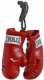 Everlast Mini Boxing Glove in Pairs,   (, .800000)
