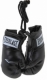 Everlast Mini Boxing Glove in Pairs,   (, .800001)