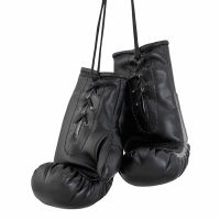AG-1008FBR Сувенирные боксерские перчатки Федерация Бокса России черный