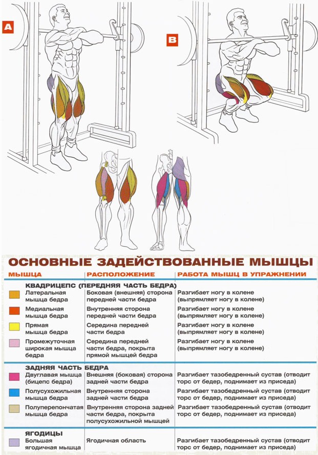 Биомеханика приседаний со штангой – взгляд на упражнение изнутри